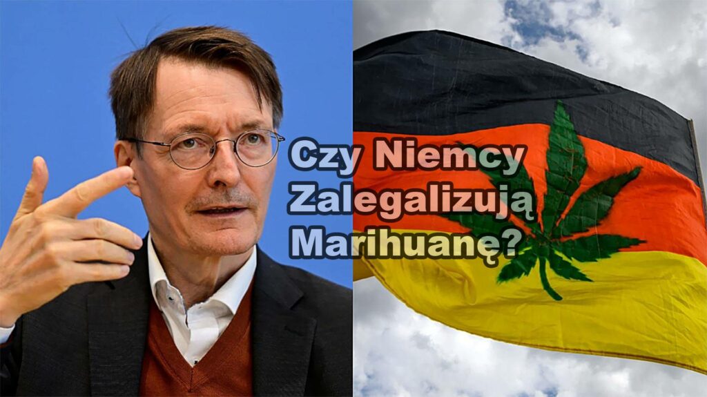 projekt ustawy o legalizacji marihuany w Niemczech
