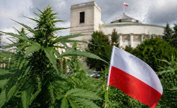 Kierunek polityki narkotykowej w polsce