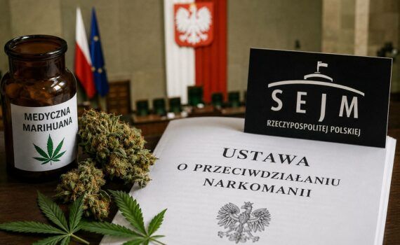Medyczna marihuana z polskich upraw