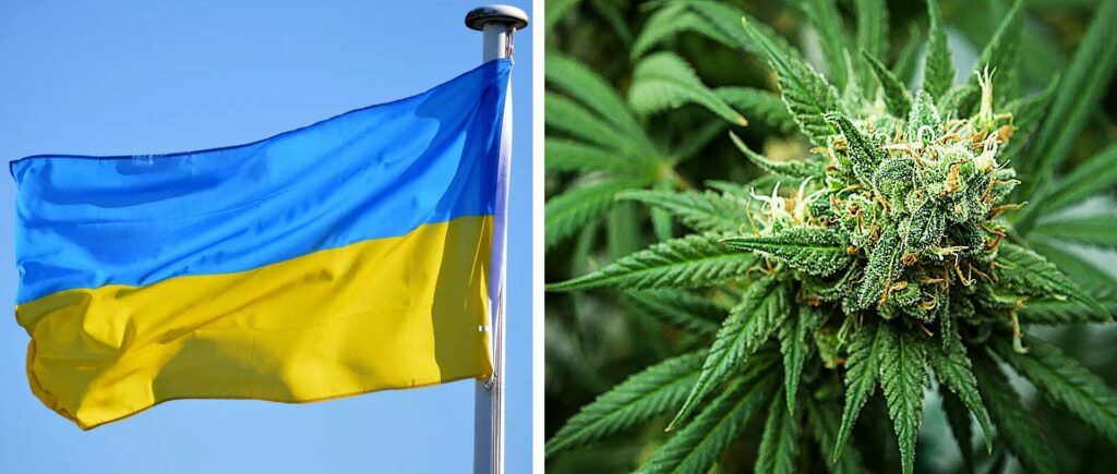 Ukraina zalegalizowała medyczną marihuanę